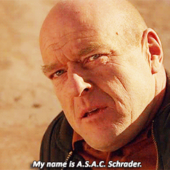 Heisenberg Chronicles — 5x14: Ozymandias Fun Factoids: The chess board in