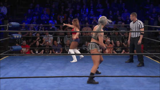 celebrity wrestling simulator