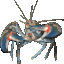 skoupa