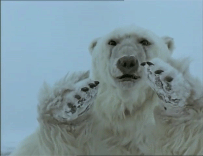 The Polar Bear King (1991) - IMDb