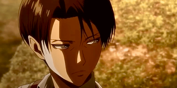 levi as boyfriend