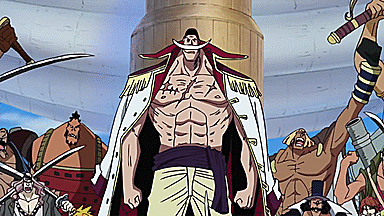 Multifandom Self Insert Writing Blog — Fluffy Whitebeard Pirates Headcanons