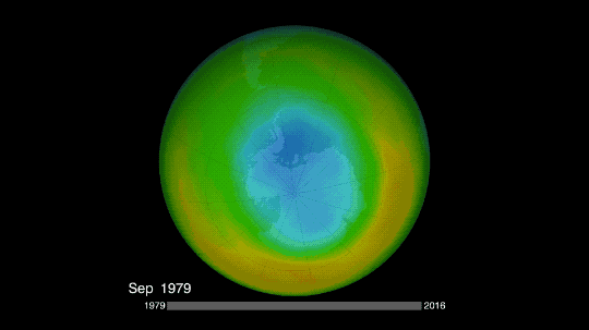 Front Matter, Protection Against Depletion of Stratospheric Ozone by  Chlorofluorocarbons