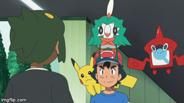 rowlet decidueye costume plush