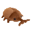 aimeelaces