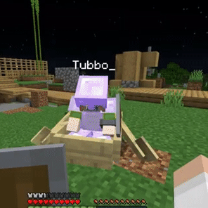 Well, I asked my friend to guess the names of Minecraft rs : r/Tubbo_