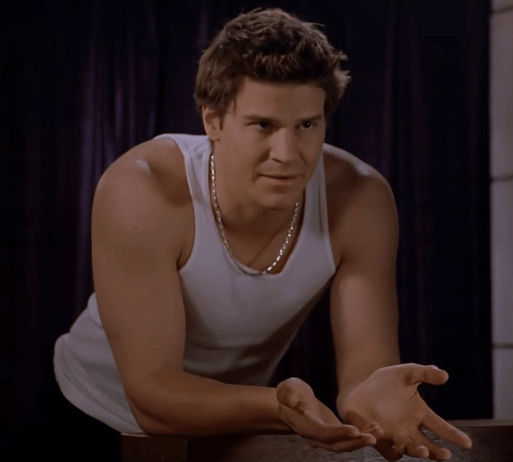 David Boreanaz - internet studs