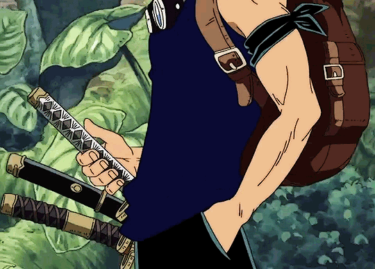 🪷Soul Writing🪷 — Ooo, can I get headcannons with Mihawk and Zoro