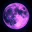 purple--moon