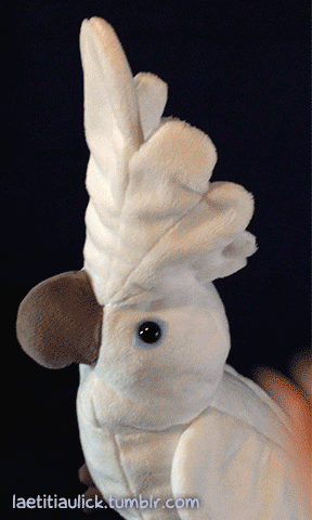 umbrella cockatoo plush