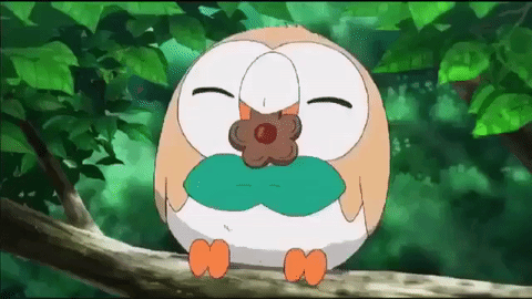 Rowlet - Pokémon - Image by Nintendo #2965298 - Zerochan Anime Image Board
