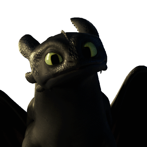 SisterDragonArts — Toothless & Light Fury How To Train Your Dragon:...