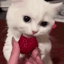 123cuteness