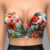 ✩ Trillyke ✩ — Deep V Plunge Bustier - Floral Patterns Besides