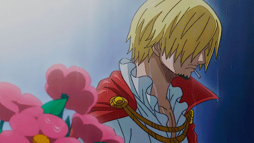 holykillercake — Strawberry and Cigarretes pairing: Sanji x Reader