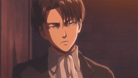 The Sun Melted His Wings Embarassed Levi Ackerman X Reader