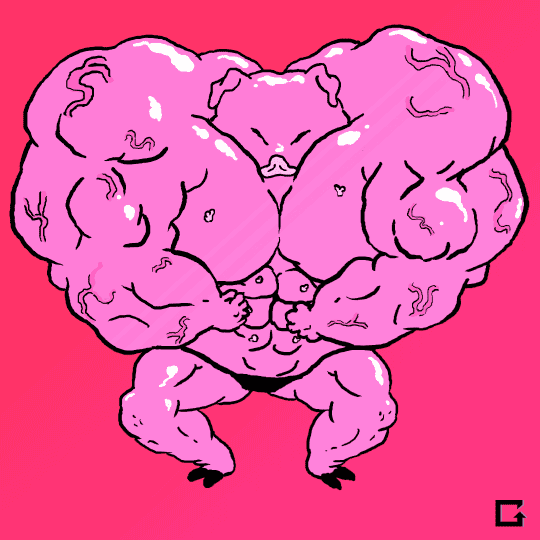 double muscled pig