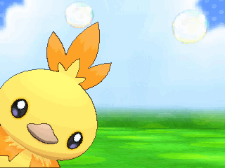 shiny torchic pokemon x