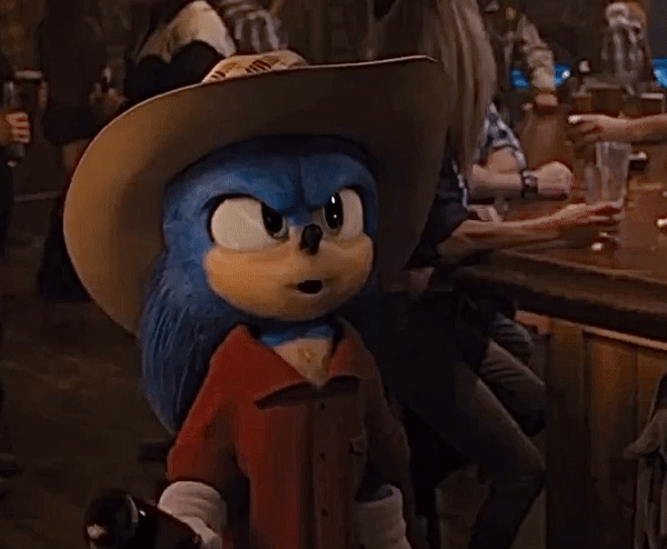 sonic from sonic heroes in a cowboy hat, Stable Diffusion