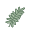 haus-plant