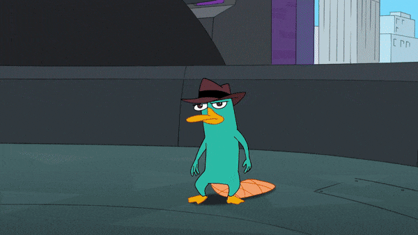 An archive for PnF facts — Doof dislikes when Perry bursts through his...