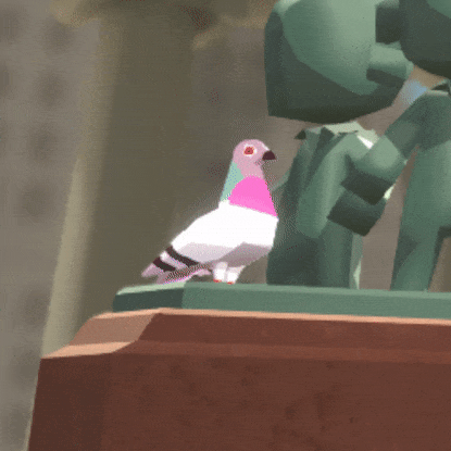 Pigeon