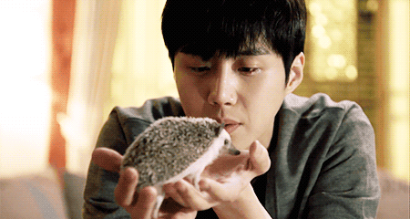 Kdrama Kisses Little Bok Go The Hedgehog