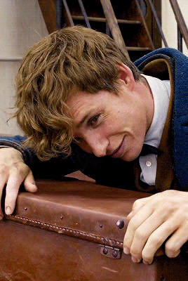 Harry Potter — Eddie Redmayne As Newt Scamander In Fantastic...