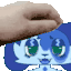 clownorca