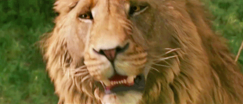 Aslan in The Chronicles of Narnia Looks So Much Better Than the CGI Lions  in The Lion King