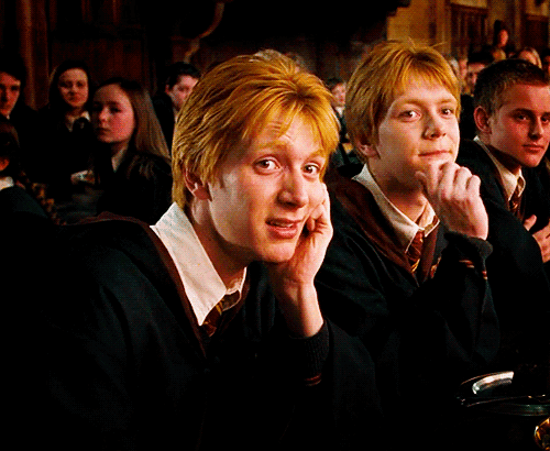 Shelby S Flower Four Times Fred Weasley Proposed To You And The