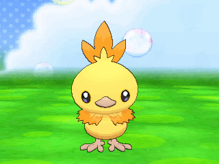 shiny torchic pokemon x