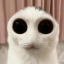 bananasinpajamas077