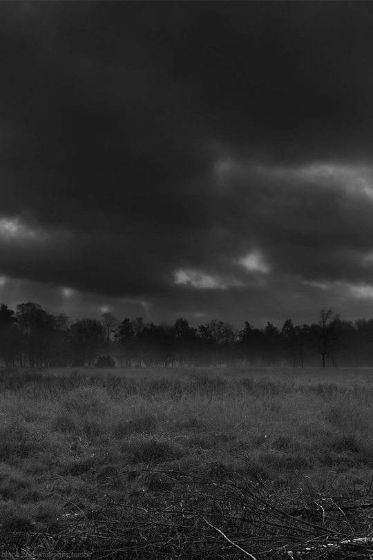 Black and White GIFs - Roderveld, The Netherlands