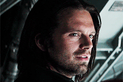 bucky