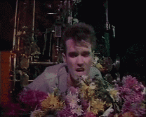 Morrissey The Smiths Thesmithsisdead Flowers Are Simply Innocent