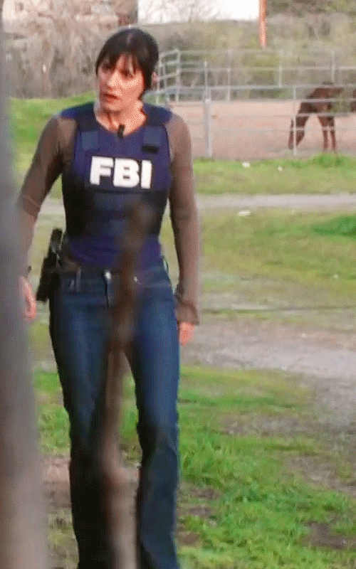 HQ for non-canon ships and pretty FBI agents — Emily Prentiss ‘Outdoor ...