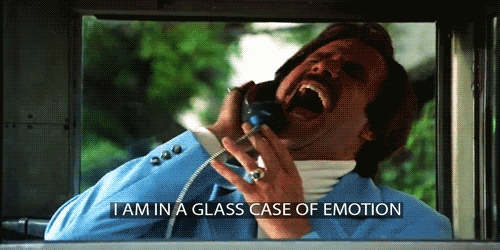 anchorman meme glass case of emotion