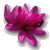serenaleonhart
