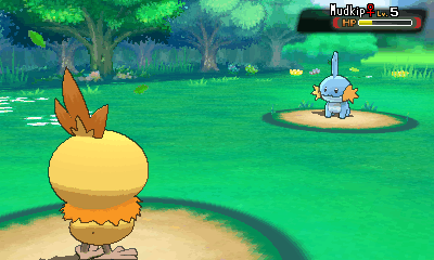 shiny torchic pokemon x