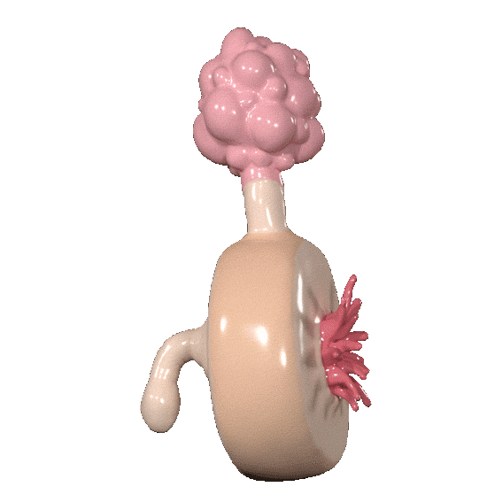 is a plumbus like a sex toy or schwubadub on Tumblr