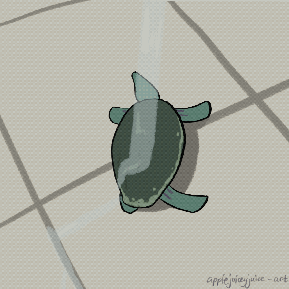 Luisa Dragón — the full baby turtle gif collection donnie / raph...