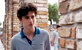 Timothée Chalamet — Elio & Oliver in Claude Monet paintings (x)