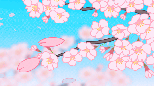 Spring Cherry Blossom Pink Fresh Background Backgrounds  PSD Free Download   Pikbest