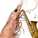 shrimpkidd avatar