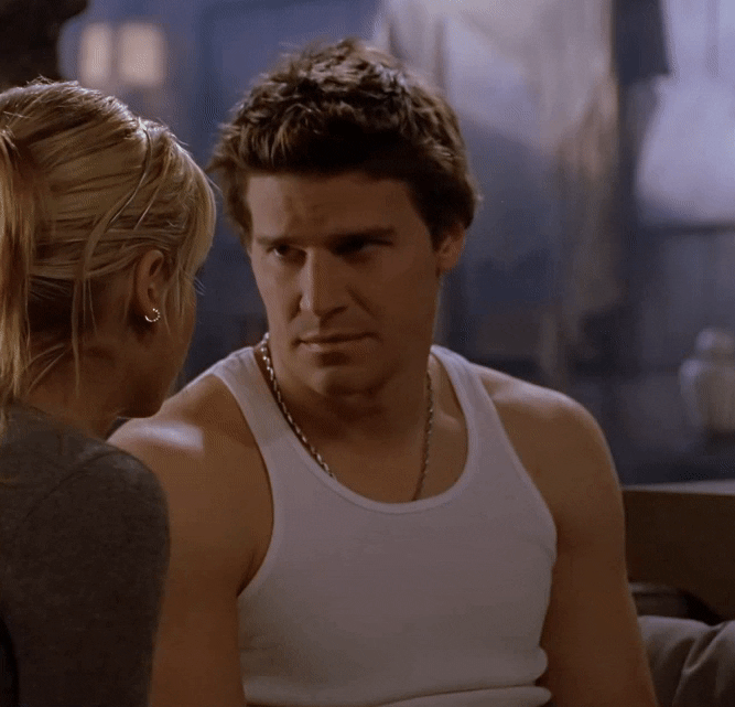 David Boreanaz - internet studs