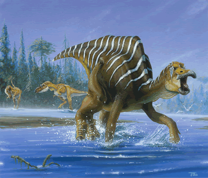 A Dinosaur A Day: Maiasaura Peeblesorum