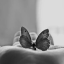 whyucloudingmymind