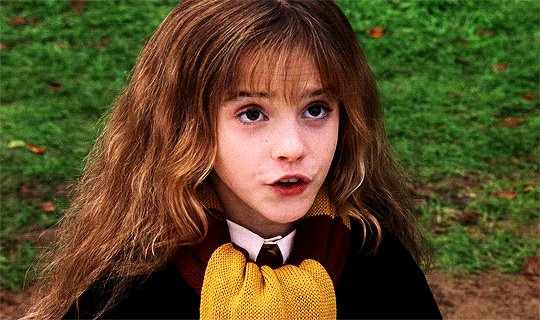 Hermione Granger Fake