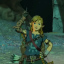 link-to-the-random